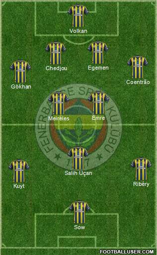 Fenerbahçe SK Formation 2013