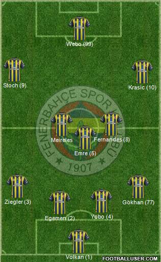 Fenerbahçe SK Formation 2013
