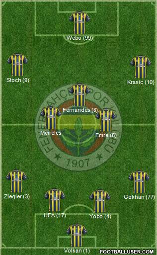Fenerbahçe SK Formation 2013