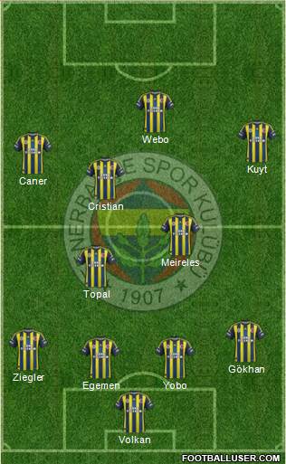 Fenerbahçe SK Formation 2013