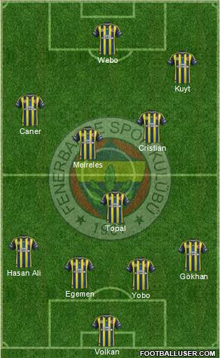 Fenerbahçe SK Formation 2013