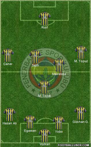 Fenerbahçe SK Formation 2013