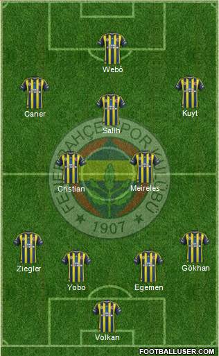 Fenerbahçe SK Formation 2013