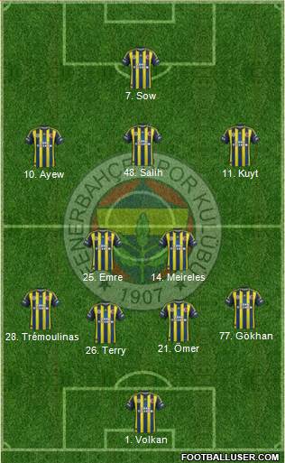 Fenerbahçe SK Formation 2013