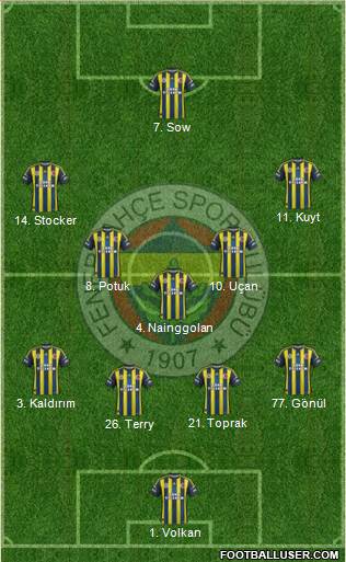 Fenerbahçe SK Formation 2013