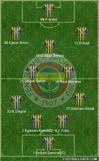 Fenerbahçe SK Formation 2013