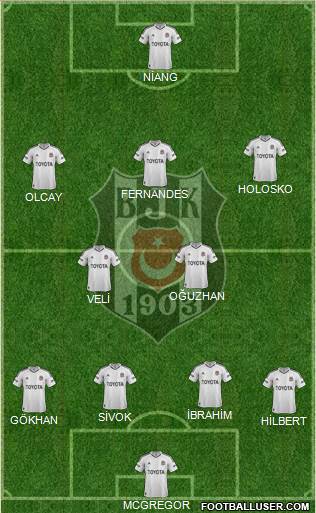 Besiktas JK Formation 2013