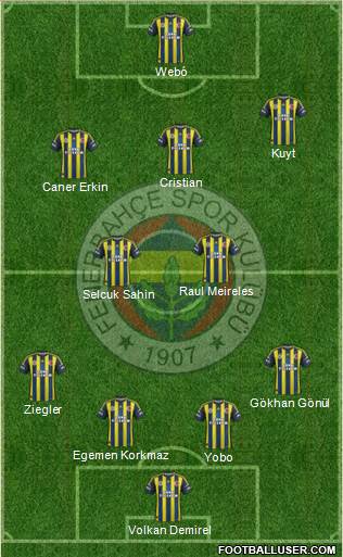 Fenerbahçe SK Formation 2013