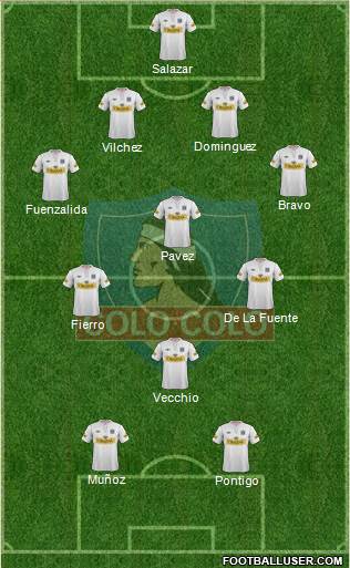 CSD Colo Colo Formation 2013