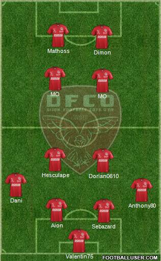 DFCO Formation 2013