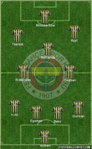 Fenerbahçe SK Formation 2013
