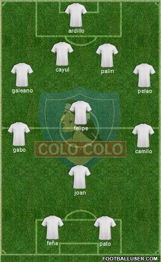 CSD Colo Colo Formation 2013