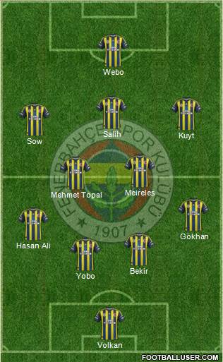 Fenerbahçe SK Formation 2013