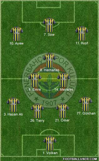 Fenerbahçe SK Formation 2013