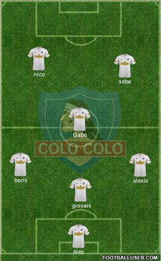 CSD Colo Colo Formation 2013