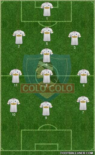 CSD Colo Colo Formation 2013