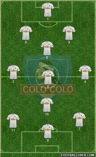 CSD Colo Colo Formation 2013