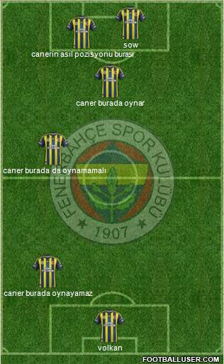 Fenerbahçe SK Formation 2013