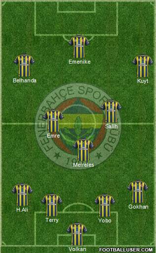 Fenerbahçe SK Formation 2013