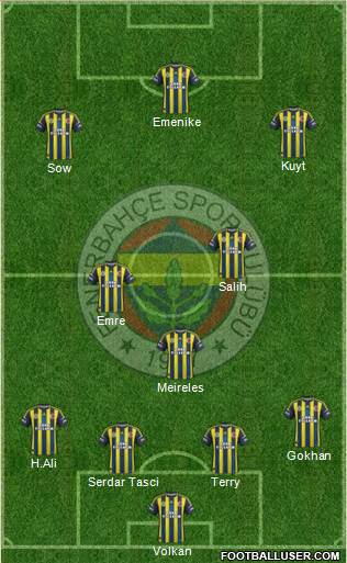Fenerbahçe SK Formation 2013