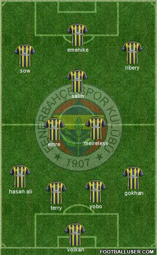 Fenerbahçe SK Formation 2013