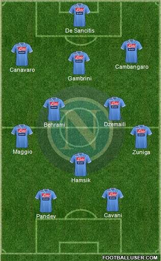 Napoli Formation 2013