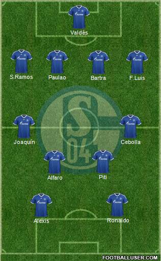FC Schalke 04 Formation 2013
