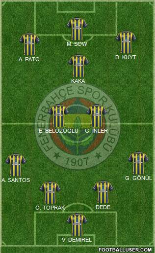 Fenerbahçe SK Formation 2013