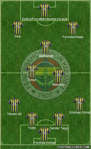 Fenerbahçe SK Formation 2013