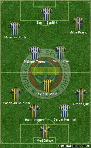 Fenerbahçe SK Formation 2013