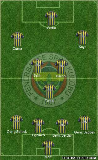 Fenerbahçe SK Formation 2013