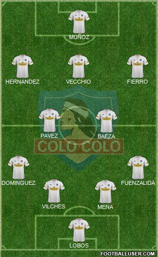 CSD Colo Colo Formation 2013