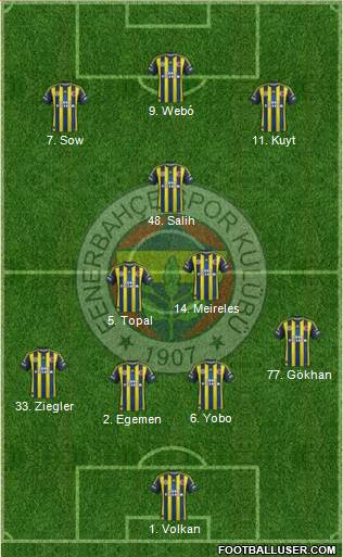 Fenerbahçe SK Formation 2013