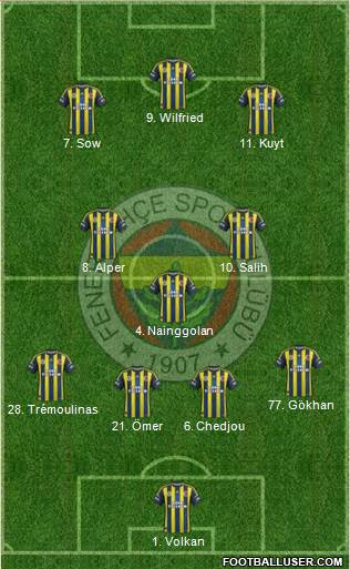 Fenerbahçe SK Formation 2013