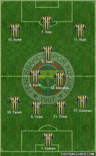 Fenerbahçe SK Formation 2013