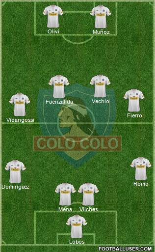 CSD Colo Colo Formation 2013