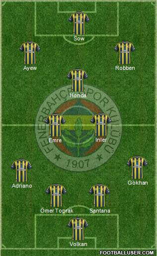 Fenerbahçe SK Formation 2013