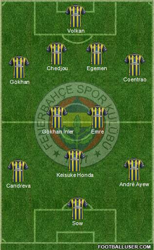 Fenerbahçe SK Formation 2013
