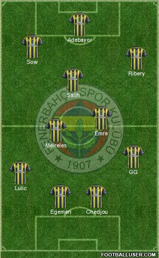Fenerbahçe SK Formation 2013