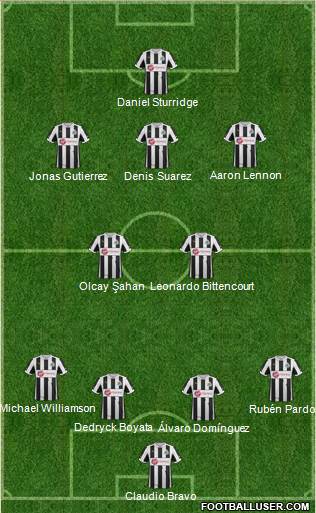 Newcastle United Formation 2013