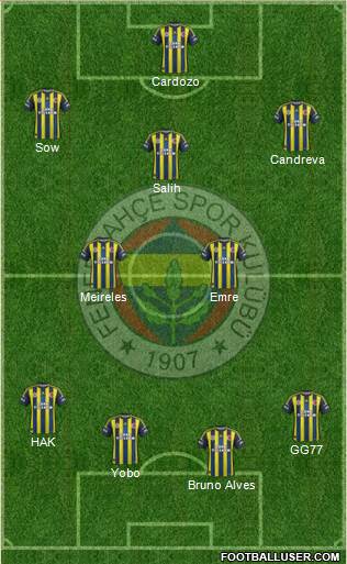 Fenerbahçe SK Formation 2013
