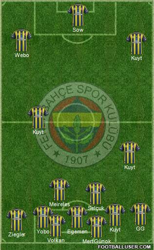 Fenerbahçe SK Formation 2013