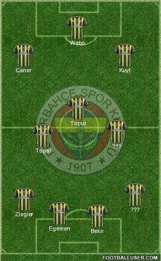 Fenerbahçe SK Formation 2013