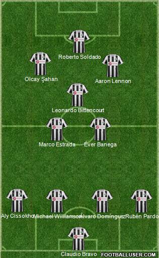 Newcastle United Formation 2013