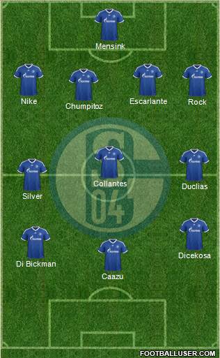 FC Schalke 04 Formation 2013