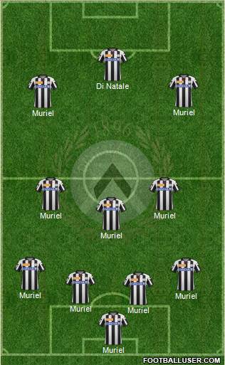 Udinese Formation 2013