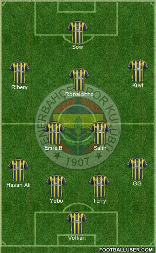 Fenerbahçe SK Formation 2013