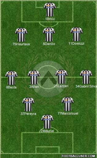 Udinese Formation 2013