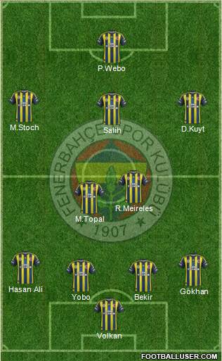 Fenerbahçe SK Formation 2013