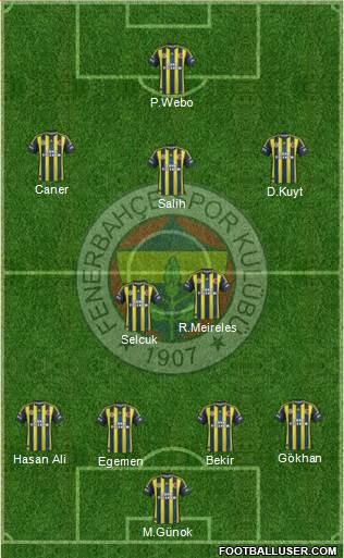 Fenerbahçe SK Formation 2013